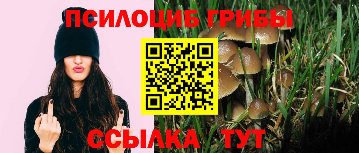 Галлюциногенные грибы прущие грибы  магазин  наркотиков  Донецк  Вход с VPN 