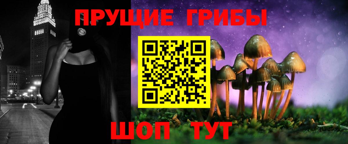 Псилоцибиновые грибы Psilocybine cubensis Донецк